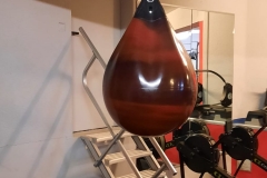 IMG-20220208-WA0005